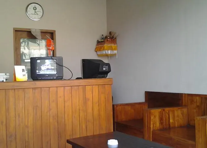 Hotel Tukad Alit 3*